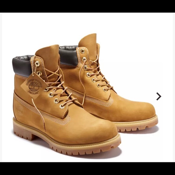❌SOLD❌ TIMBERLAND MEN'S PREMIUM WATERPROOF BOOTS - Picture 2 of 11